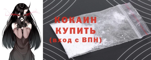 шишки Верхний Тагил