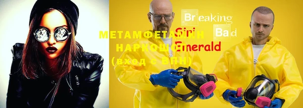 шишки Верхний Тагил