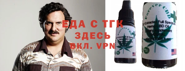 шишки Верхний Тагил