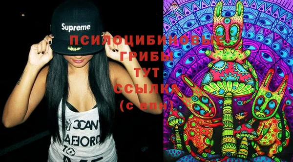 мдма Бородино