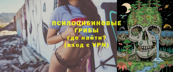 тгк Верея