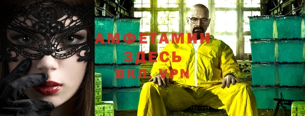 шишки Верхний Тагил