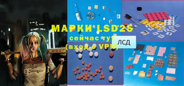 шишки Верхний Тагил