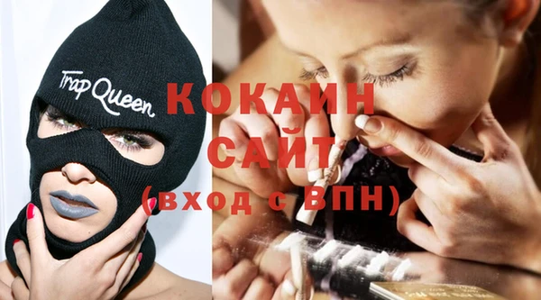 шишки Верхний Тагил