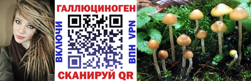 МЕГА ТОР  Верхний Тагил  Галлюциногенные грибы GOLDEN TEACHER 